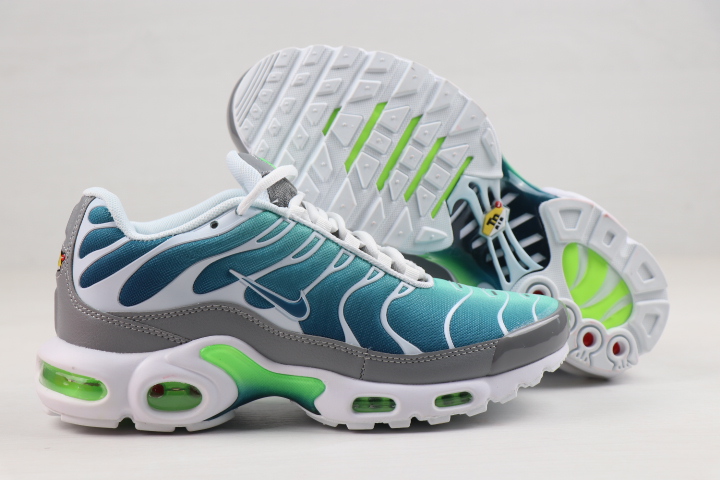 Men Nike Air Max PLUS Blue White